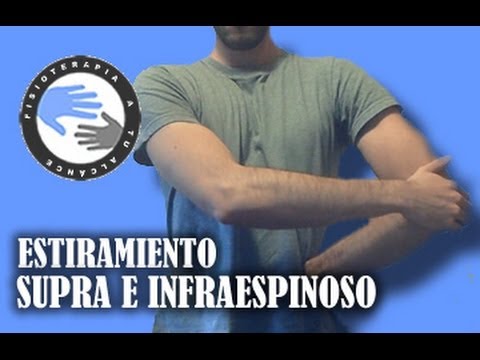 Supraespinoso e Infraespinoso, estiramientos y anatomía del hombro