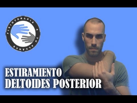 Estiramiento y anatomia del deltoides posterior