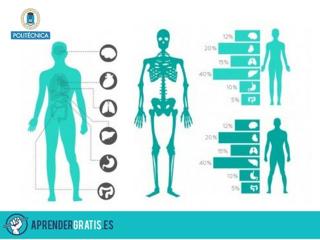 Curso de introducción a los biomateriales
