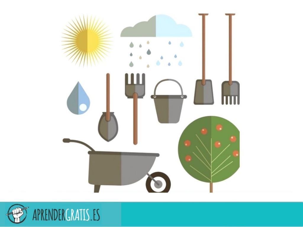 Manual de técnicas de recogida de agua de lluvia para agricultura ecológica