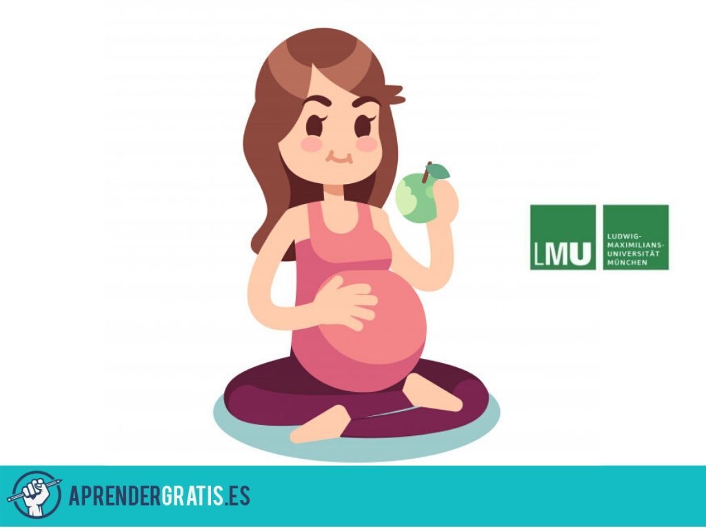 Curso sobre nutrición durante el embarazo