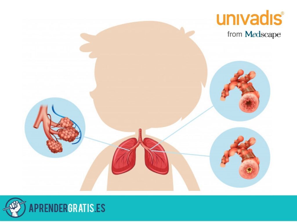 Curso sobre rehabilitación respiratoria