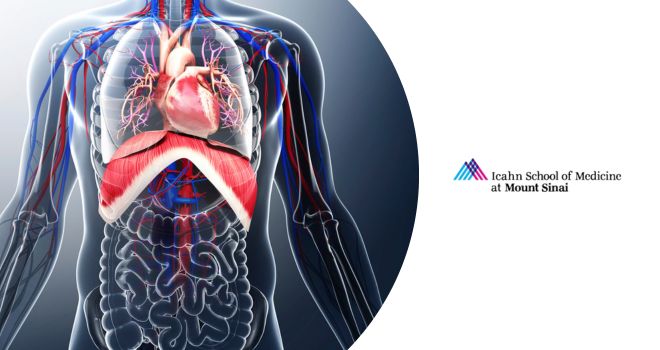 Curso sobre análisis integrados en sistemas biológicos