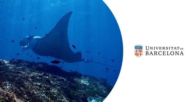 Curso sobre las claves de la Oceanografía