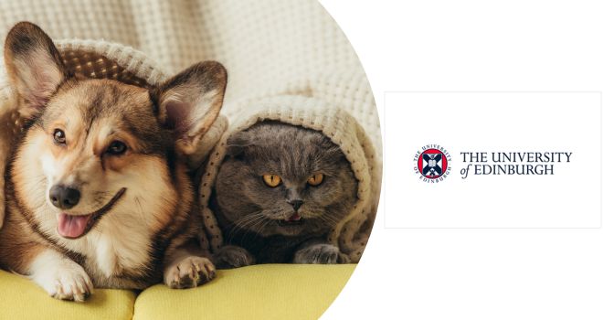 Curso sobre el comportamiento y bienestar de las mascotas
