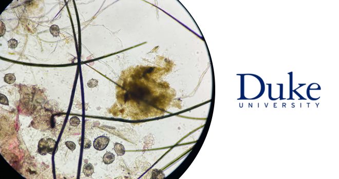 Curso sobre parasitología tropical
