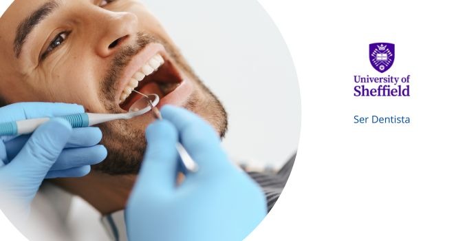 ser dentista online
