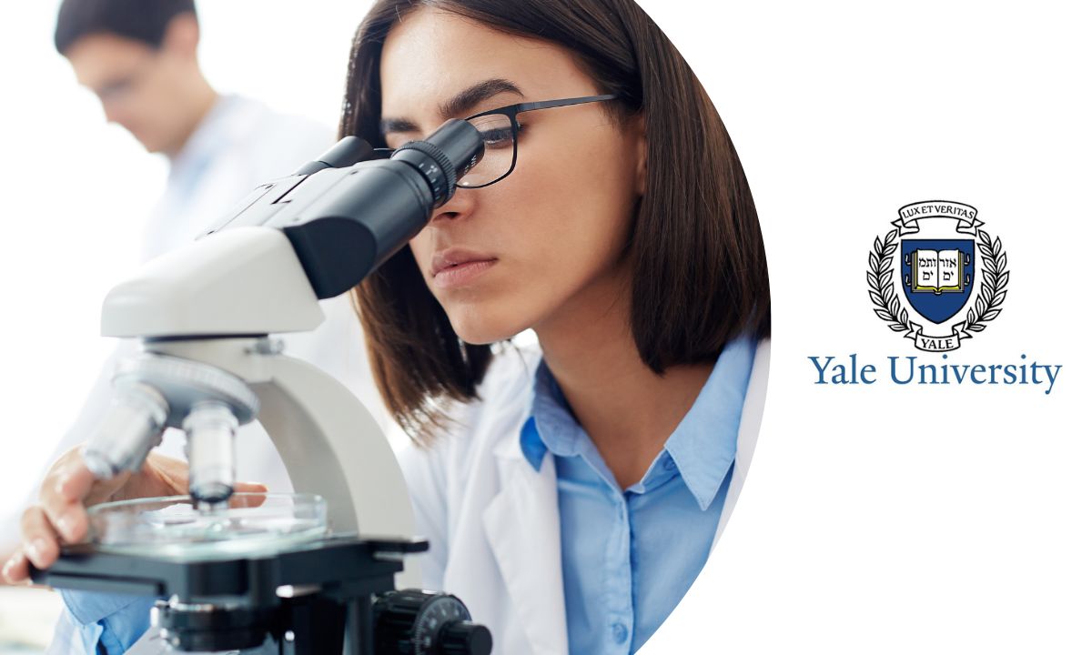 curso métodos de investigación médica
