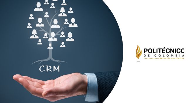 Curso de CRM para gestión de clientes