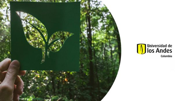 Curso de marketing para proyectos ecológicos y sostenibles