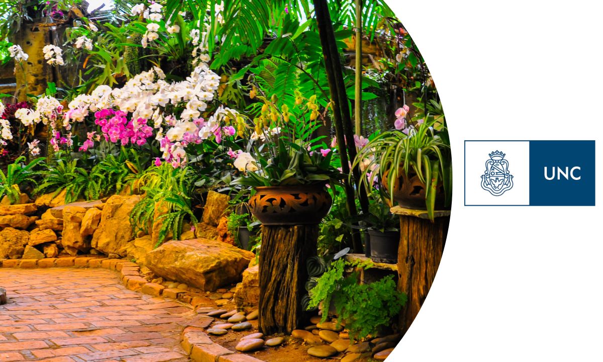 diseño jardines