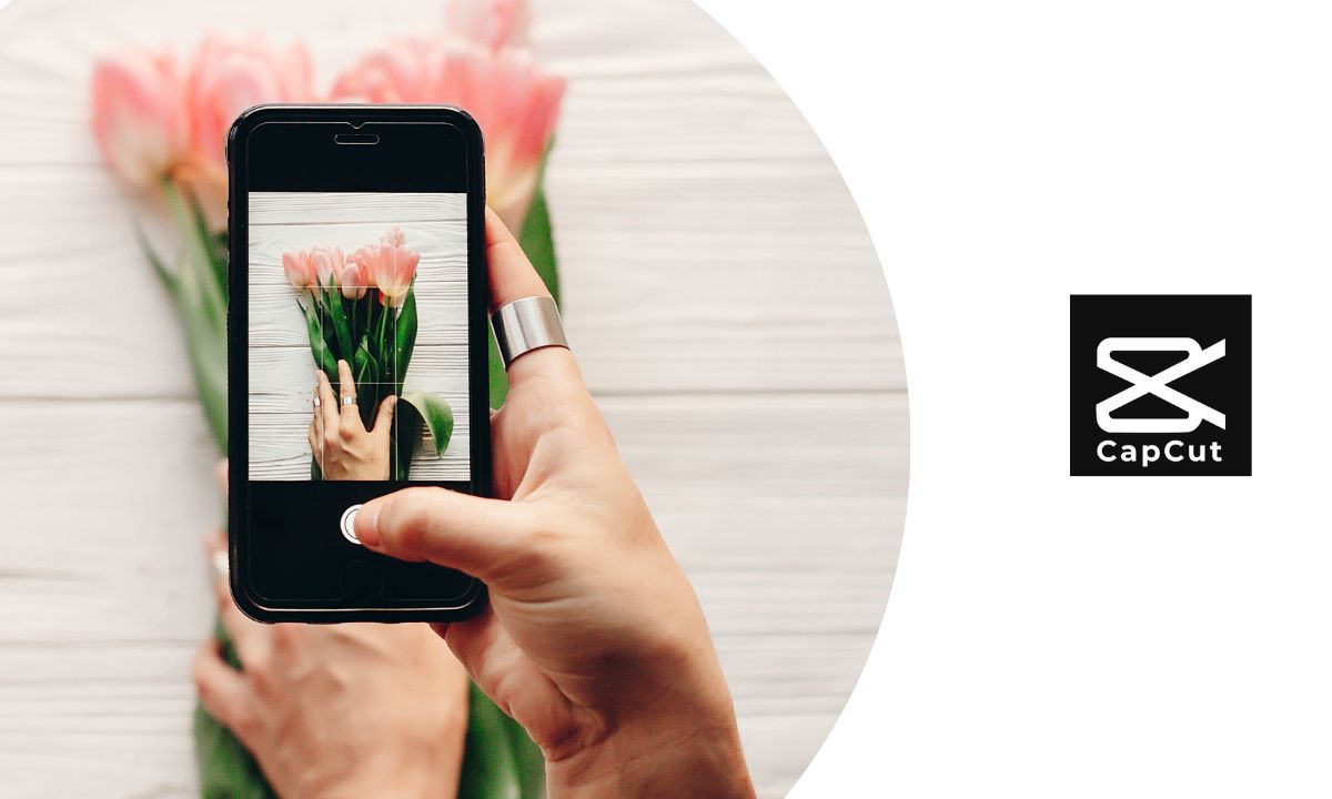 crear tienda instagram
