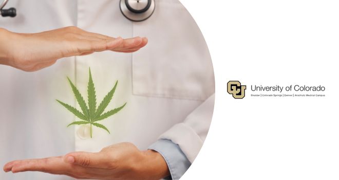 Curso de tratamientos con cannabis para el dolor crónico