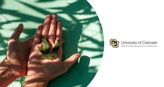 Curso sobre envejecimiento saludable y cannabis
