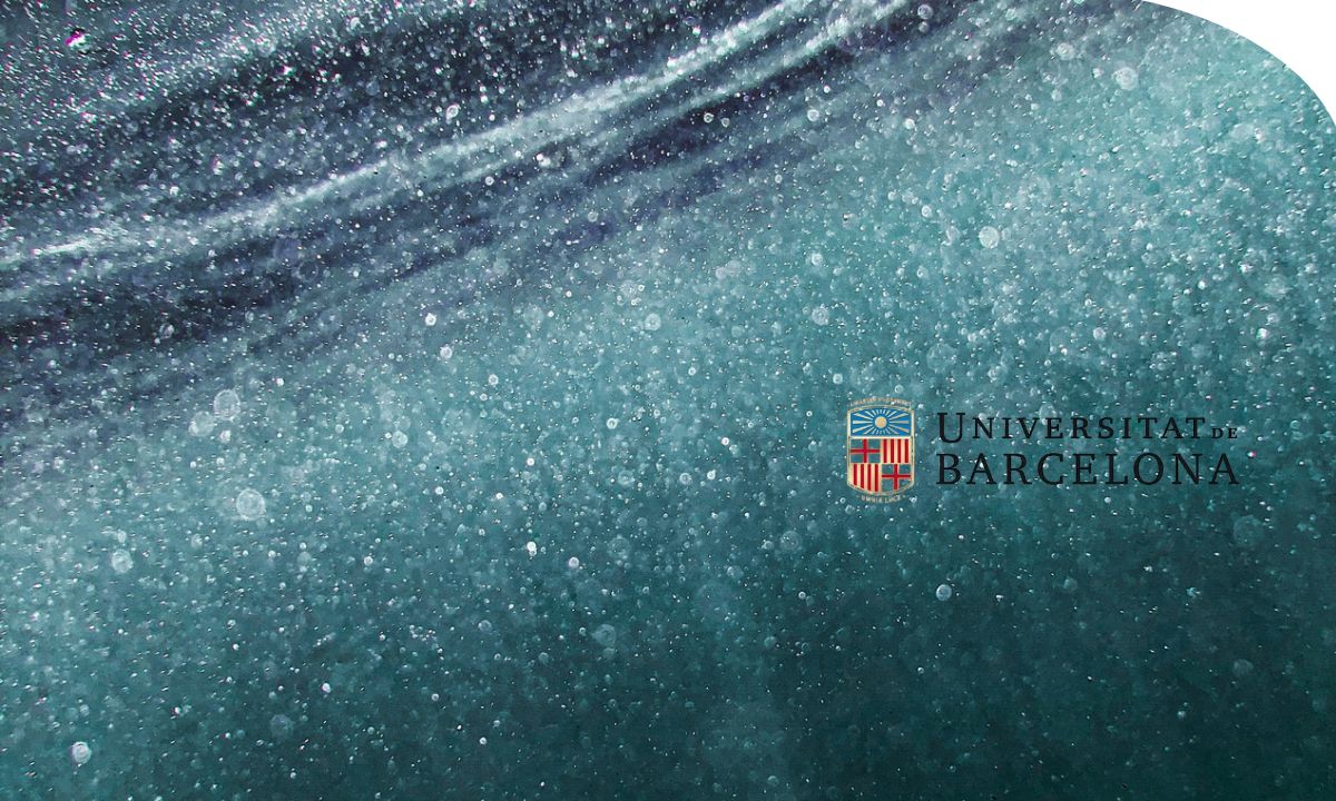 Curso online para conocer los fundamentos de la oceanografía, el funcionamiento de los océanos y sus principales características físicas y químicas