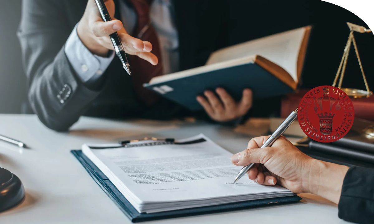 Investigador analizando la evolución legal y política de los países del mundo musulmán