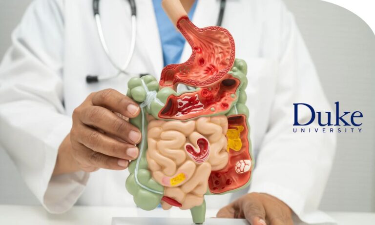 Persona estudiando los principales sistemas de órganos del cuerpo humano mediante recursos educativos de fisiología