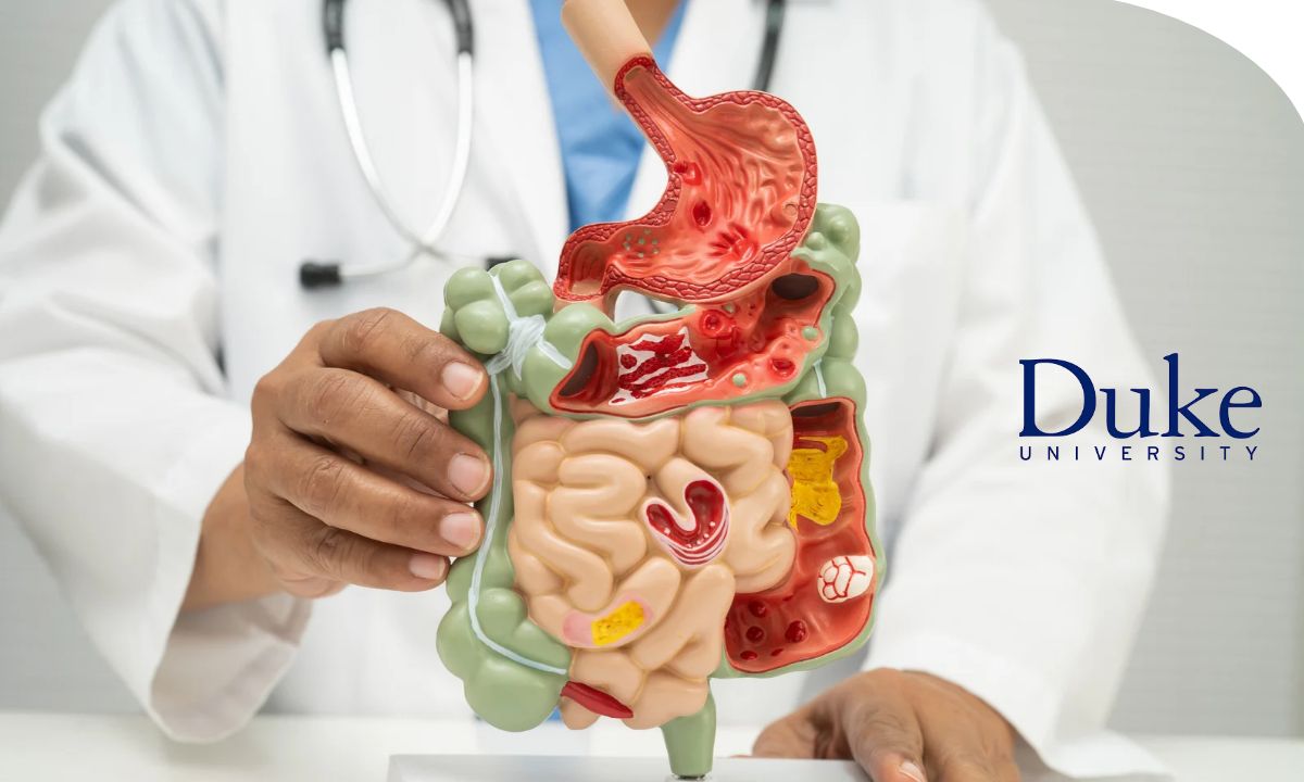 Persona estudiando los principales sistemas de órganos del cuerpo humano mediante recursos educativos de fisiología