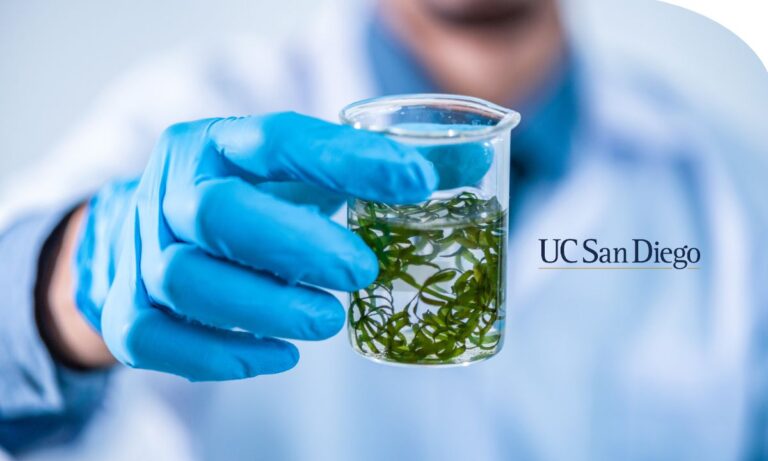 Curso online sobre biotecnología de algas y microalgas