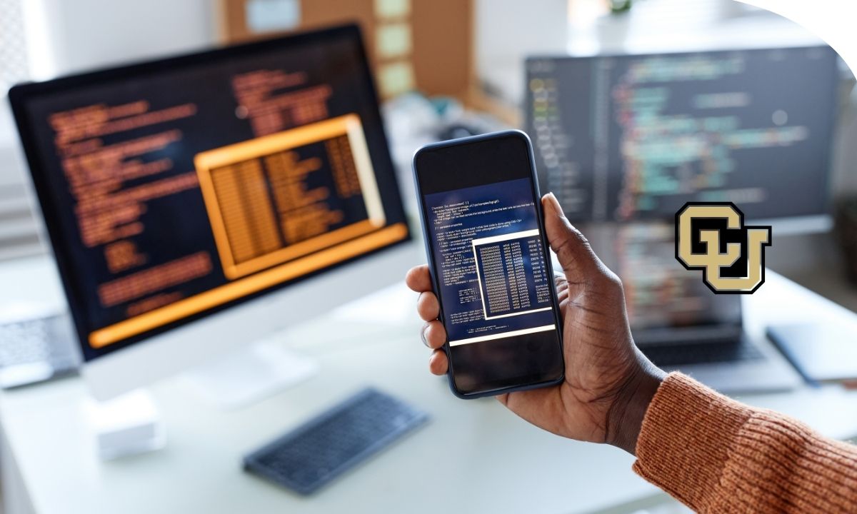 Especialista realizando una prueba de penetración para detectar vulnerabilidades en una aplicación web