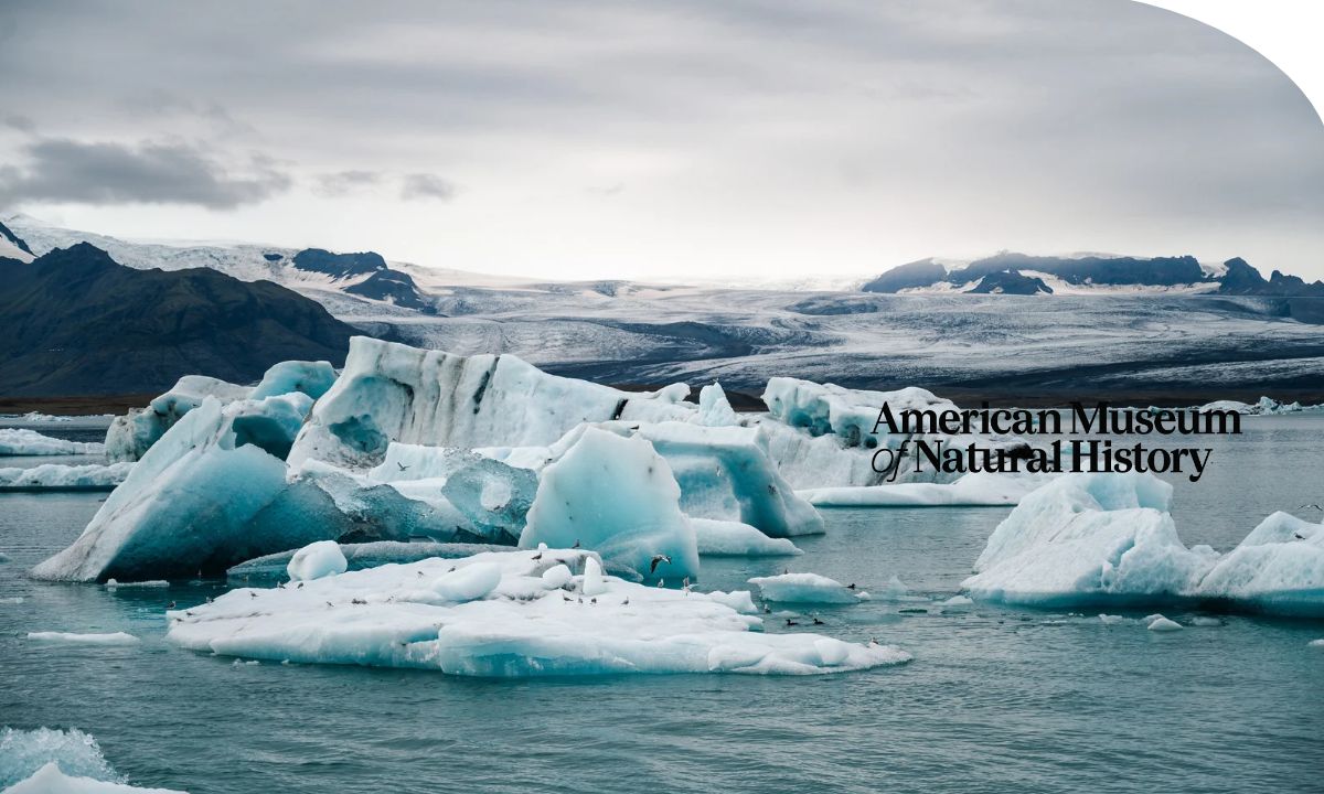 Científica analizando datos sobre el clima y los efectos del cambio climático
