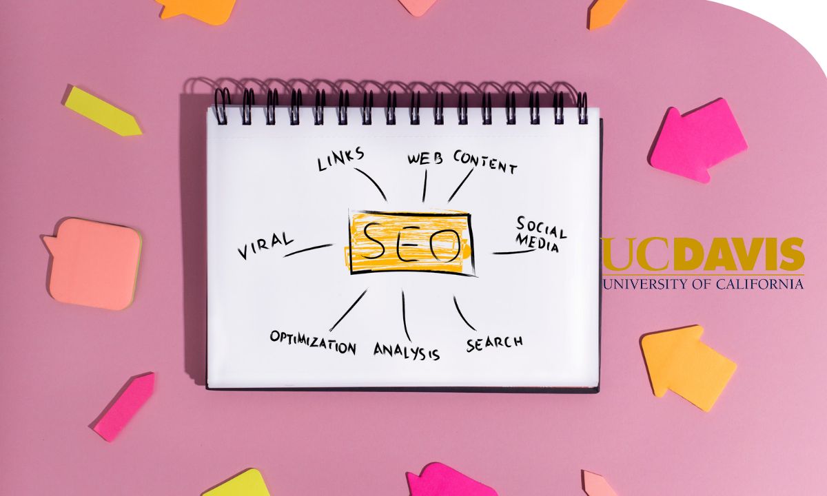 Curso online sobre estrategias avanzadas de SEO, posicionamiento web y análisis de métricas