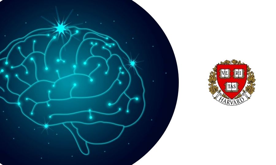 curso de neurociencia