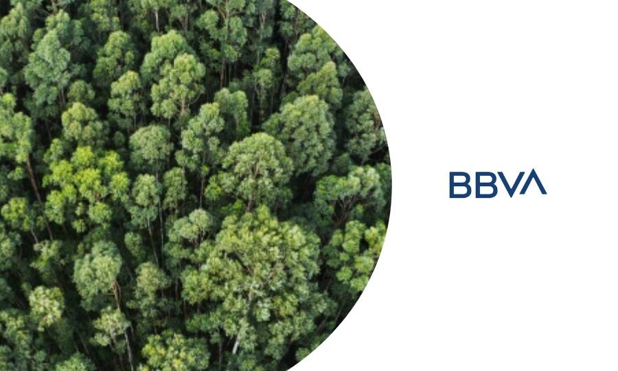 curso de sostenibilidad por el BBVA