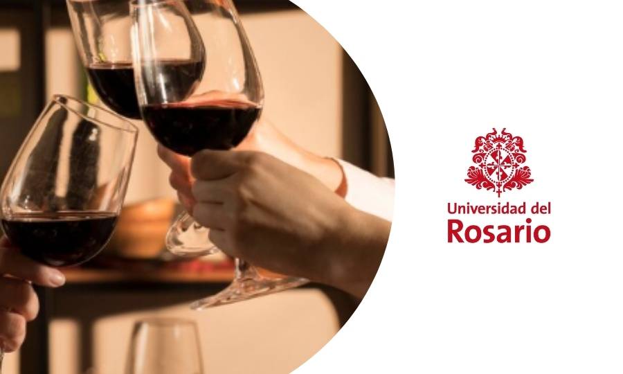 curso sobre cómo armonizar y maridar vinos con comida