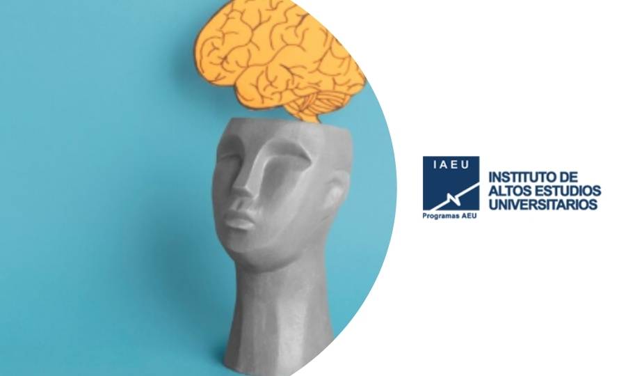 curso sobre la agnosia