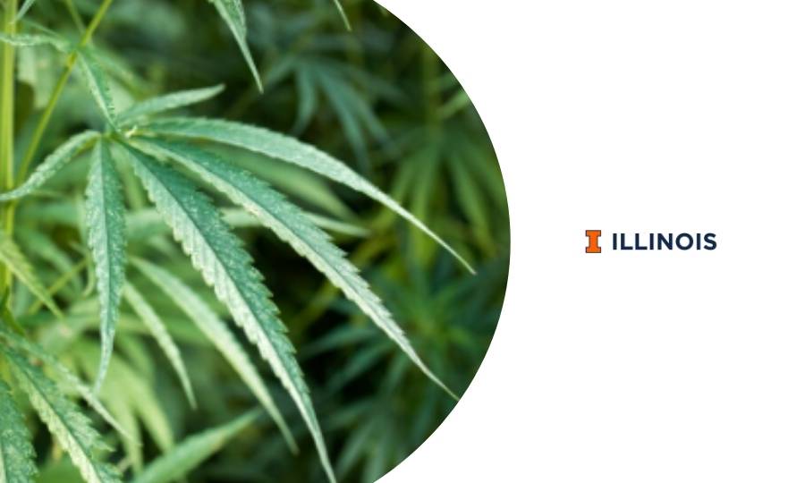 curso universitario sobre la cosecha y cuidado del cannabis