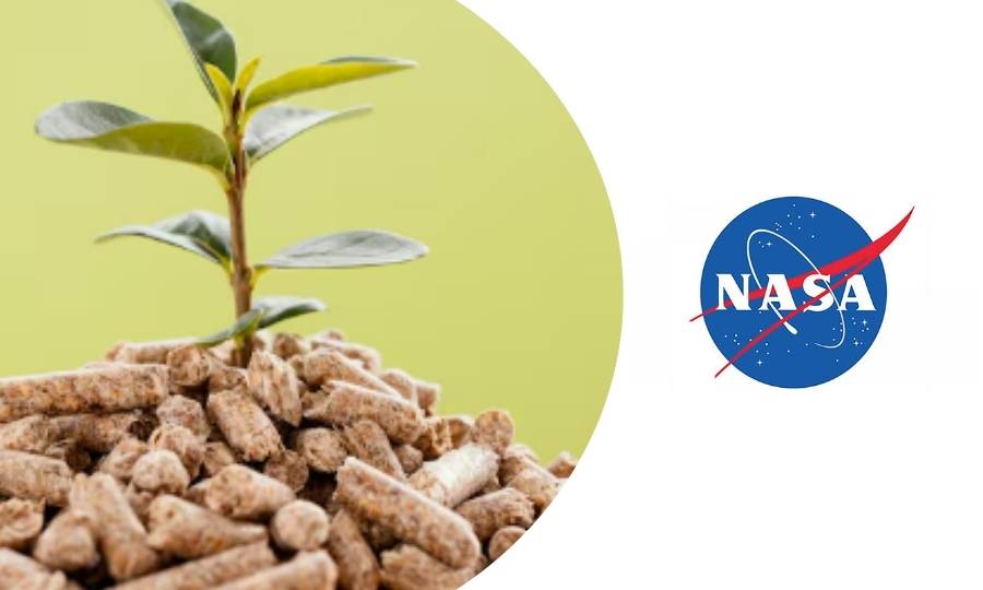curso de monitoreo de vegetación y biomasa por la NASA