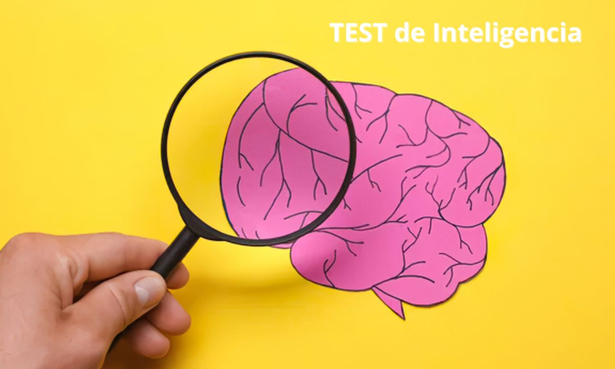 test de inteligencia online y gratuito