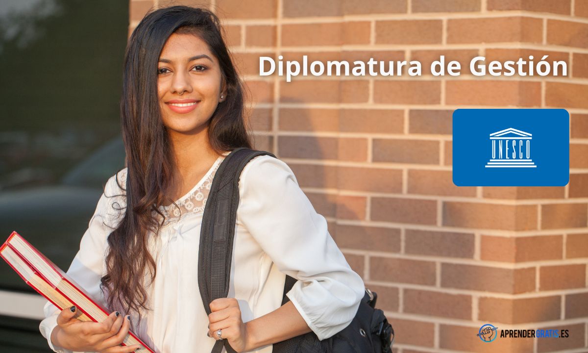 diplomatura en gestión
