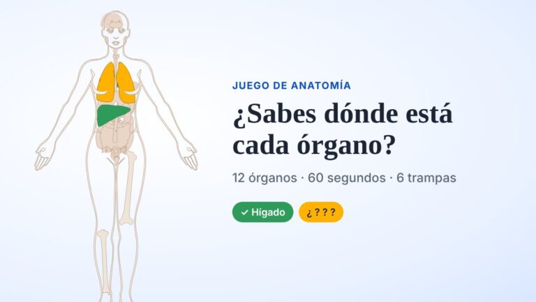 juego órganos cuerpo humano