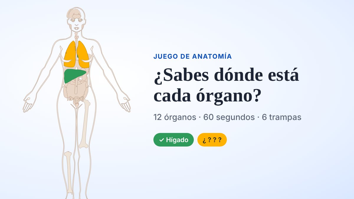 juego órganos cuerpo humano